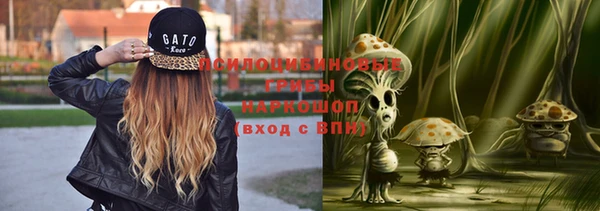 гидра Балахна