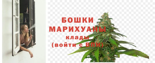 трава Армянск